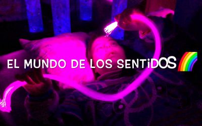 EL MUNDO POR LOS SENTIDOS