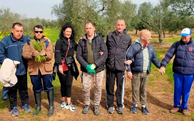 FIN DE SEMANA DE ESPARRAGOS EN BEAS
